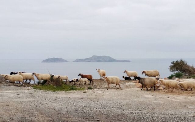 Secret Villa - Kato Saktouria