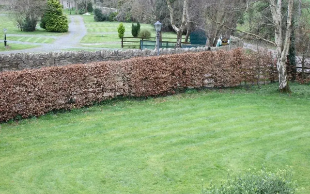 Ballinacourty House
