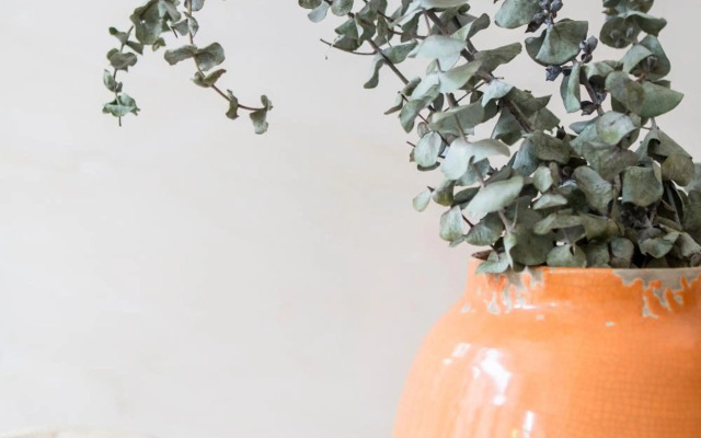 Oporto Sweet Home III