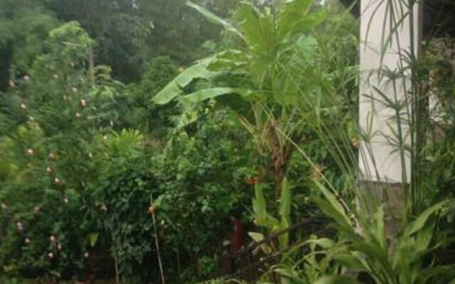 Homestay Punnasa
