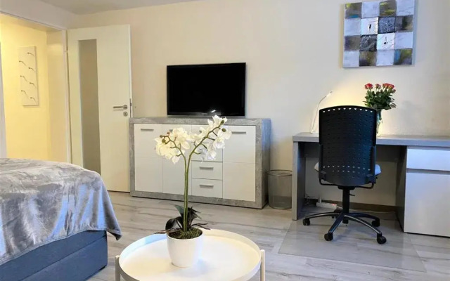 Alice Apartment Wackernheim