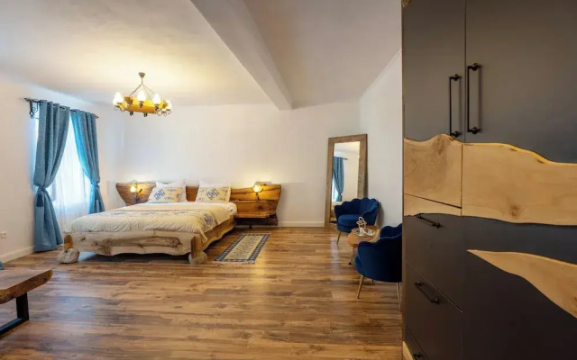 Blue House Citadel Elite Sighisoara