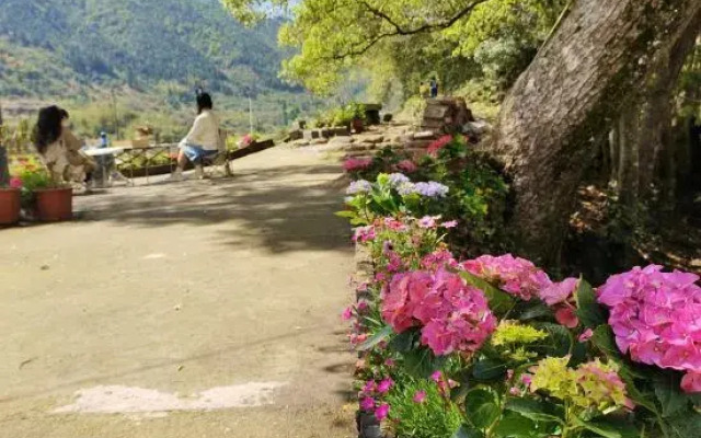 Wuyuan Wanglu Xiaoyin Homestay