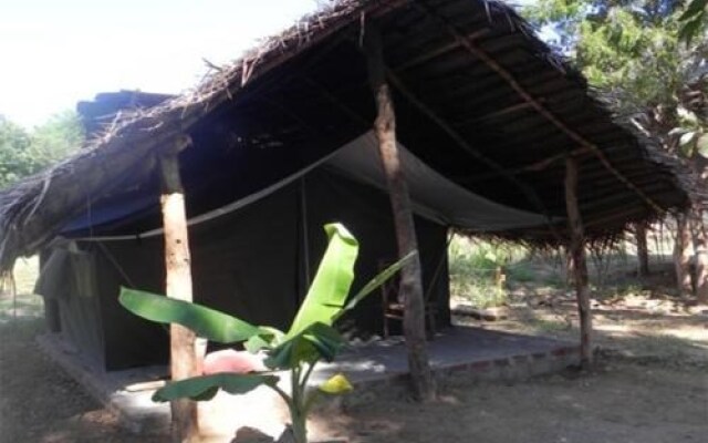 Gangadhara Camping / Eco Lodges