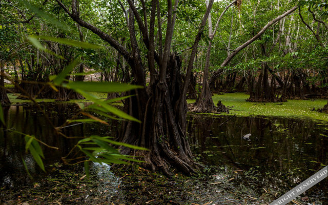 Cenote Popol Vuh