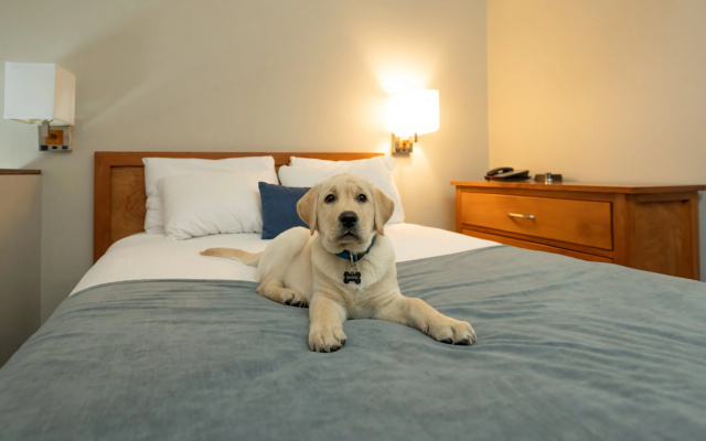 Whistler Village Inn And Suites