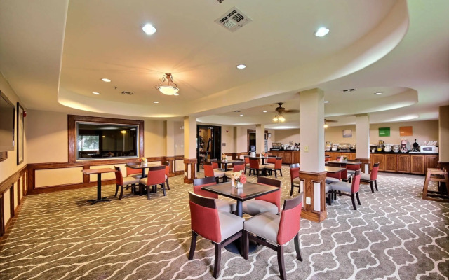 Comfort Inn Edinburg South