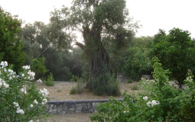 Villa Elvira