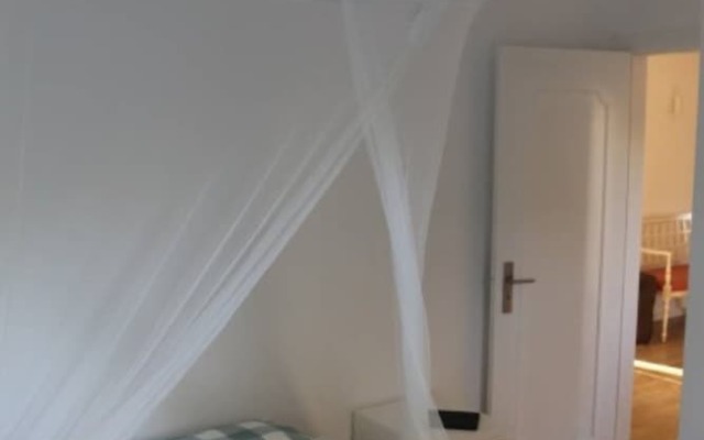 Akivillas Tavira Pine