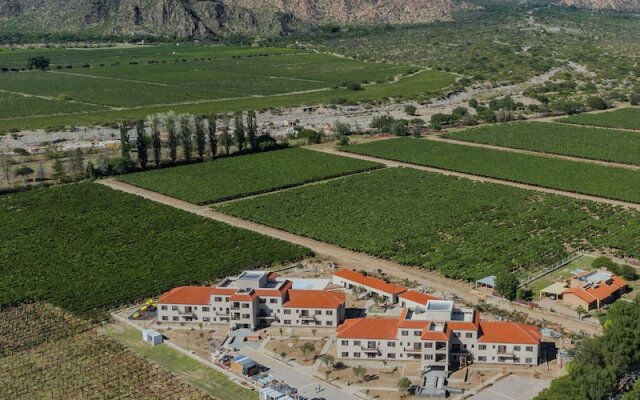 Buena Vid by Chadel Management