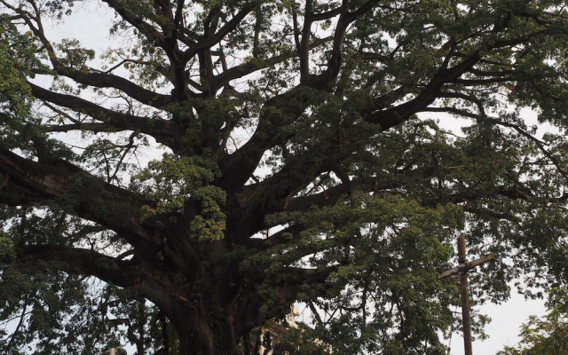 Atlantic Lumley Hotel