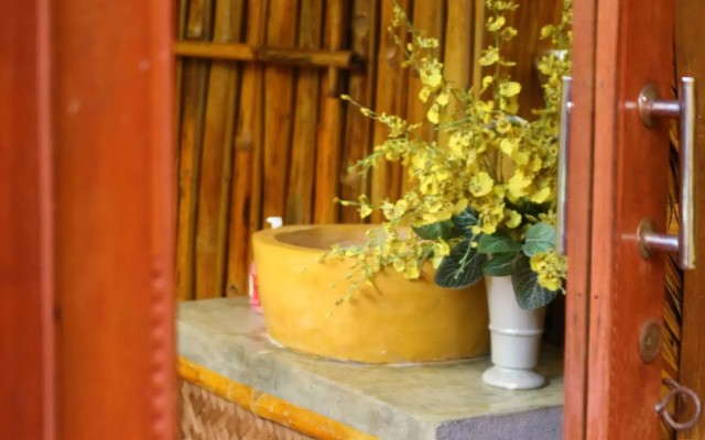 Under the coconut tree - Hostel
