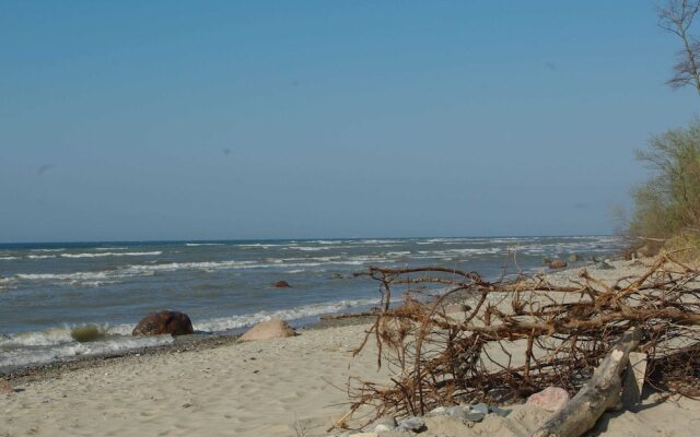 Splendid Apartment in Wismar With Balcony