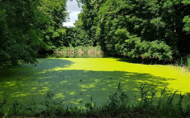 Schloßhotel Frauenmark
