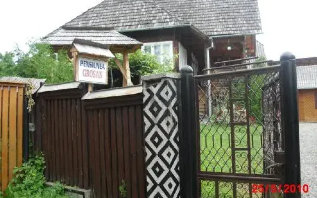 Pensiunea Grosan