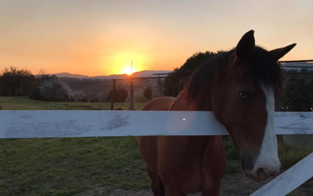 Mariana's HeartMade House