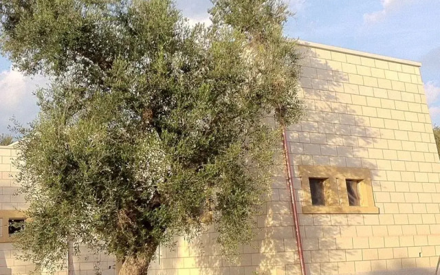 Relais Masseria Petrusella