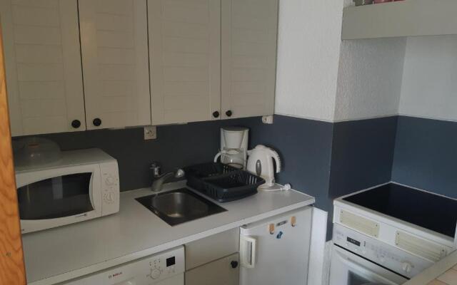 Appartement Les Deux Alpes, 1 pièce, 4 personnes - FR-1-516-81