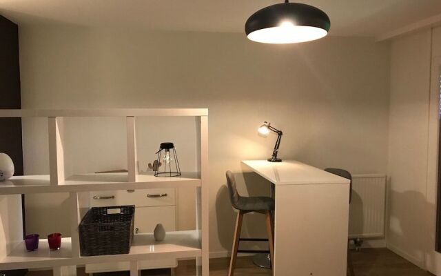 Large Studio Near Epfl And Lausanne City Center