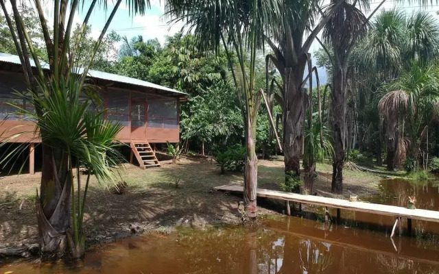 Friends of The Amazon Jungle Lodge