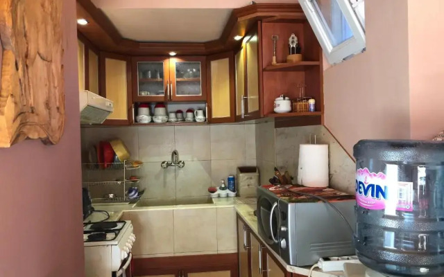 Vasilevi House