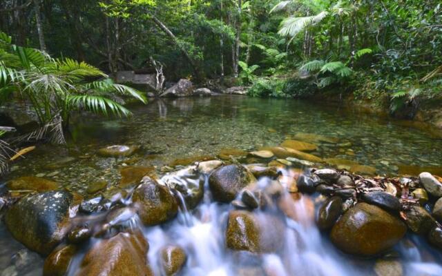 Daintree Cascades