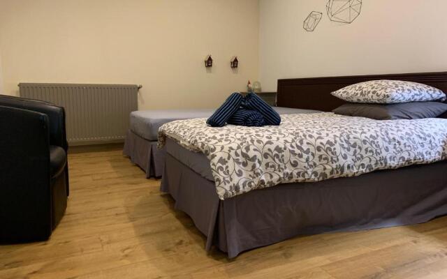 Cannes 250m2 - 8mn Walking distance Palais Festivals and Beach