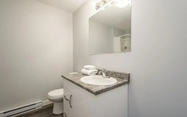 Spacious DAL & Downtown Apartments