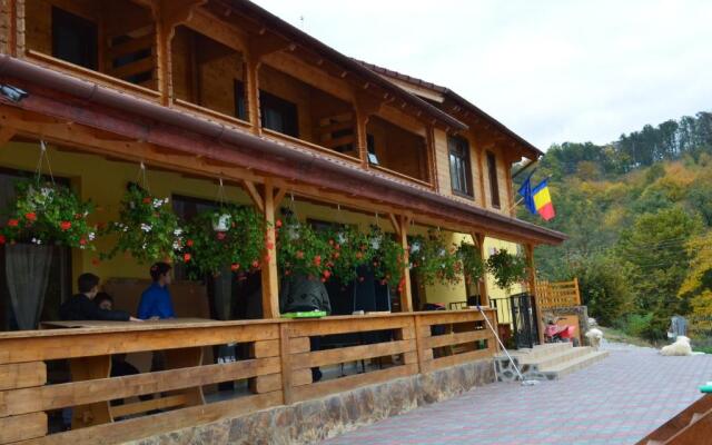 Pensiunea Mihaiu Sasului