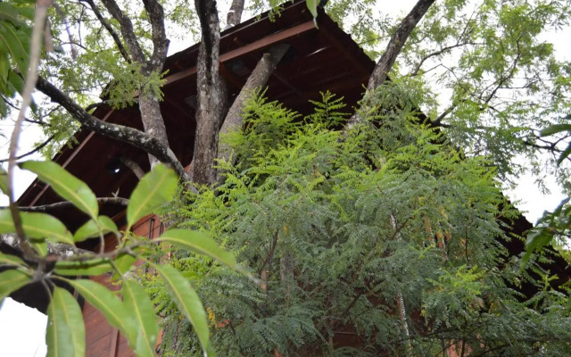Dambulla Tree House