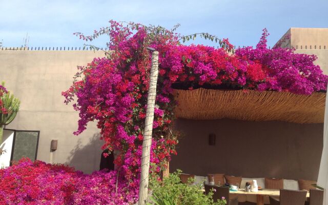 Riad Timila