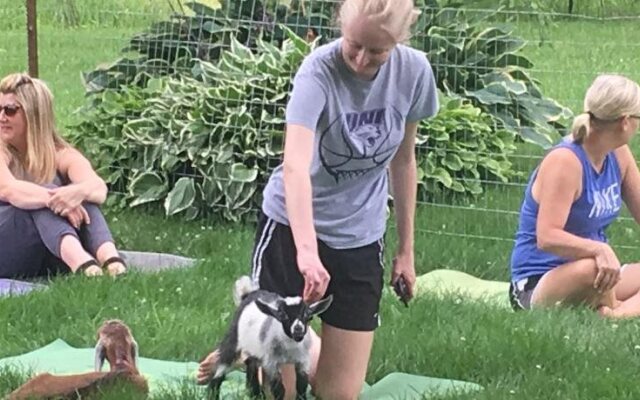 Rainbow Ridge Farms Bed and Breakfast Onalaska/La Crosse