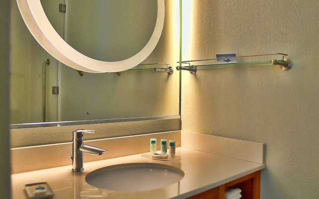 SpringHill Suites by Marriott-Houston/Rosenberg