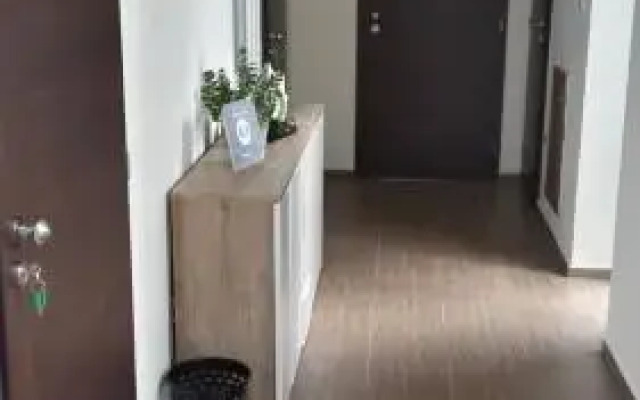 Apartment Brno
