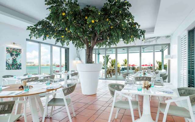 Th8 Palm Dubai Beach Resort, Vignette Collection, by IHG