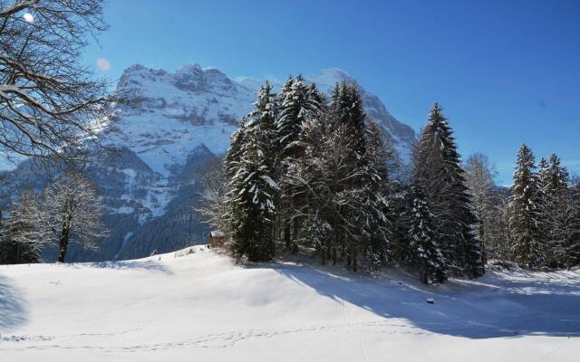 Alpine Boutique Apartments, Grindelwald gletscher