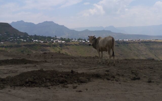 Zan-Seyoum Hotel