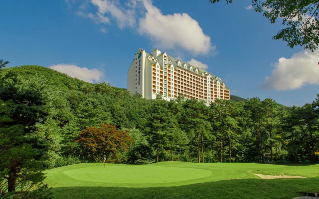 Yangji Pine Resort