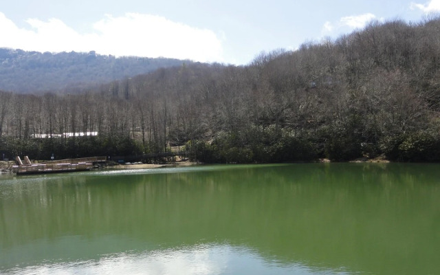 VCI - Altitude Adjustment