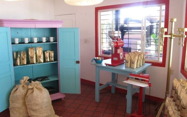 Casa del Café Oro de Los Tuxtlas