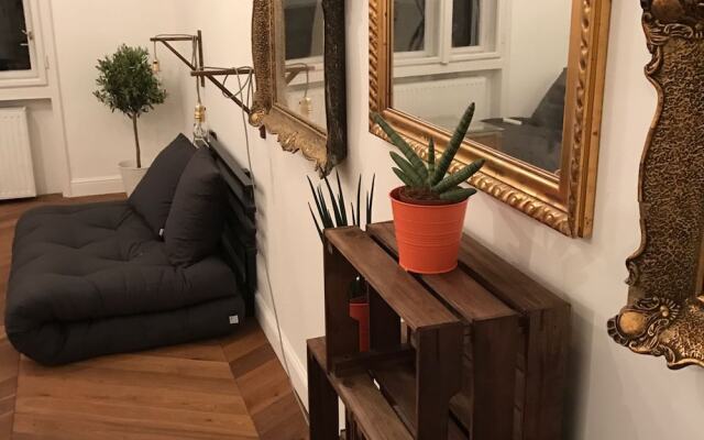 Large Central Apartments Dohány