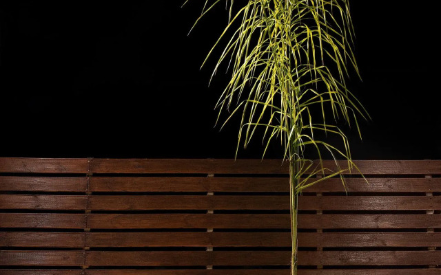 Sea View Hotel & Apartments