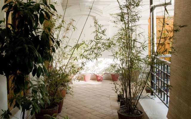 3 Rooms by Pauline
