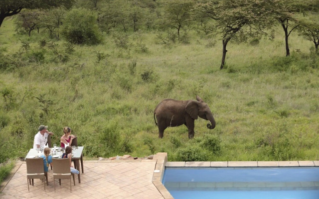 Spirit Of The Masai Mara