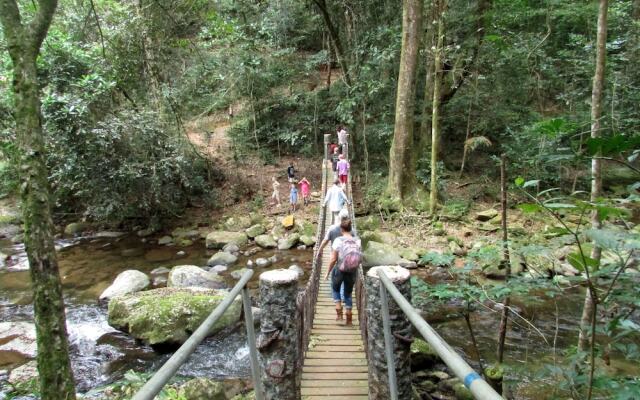 Udzungwa Forest Camp