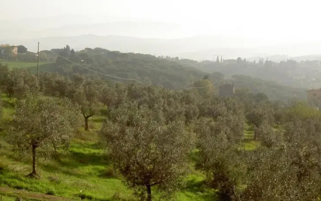 Tavernaccia