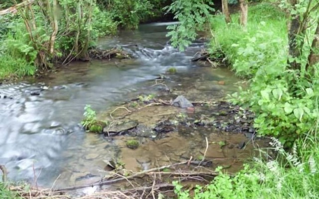 The Old Mill