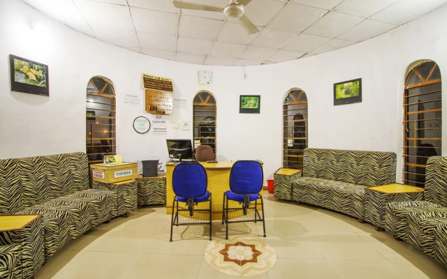 Jungle King Resort