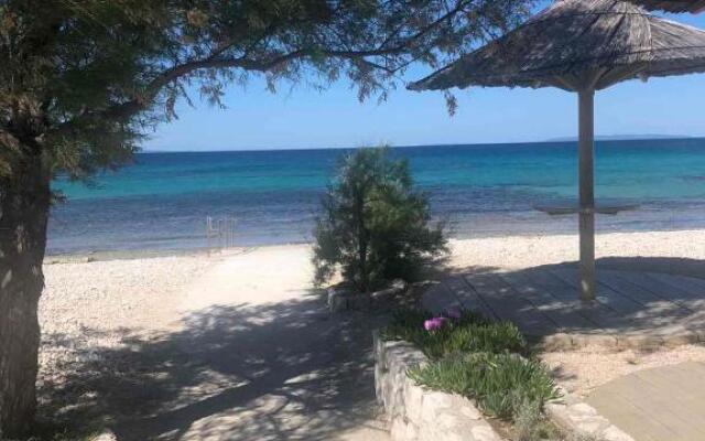 Apartment Gajac A7 44