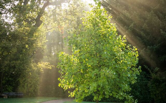 Woodbrooke Quaker Study Centre